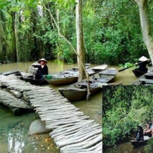 Tour Miền Tây 2 ngày 1 đêm Đồng Tháp Cần Thơ - chèo xuồng rừng tràm