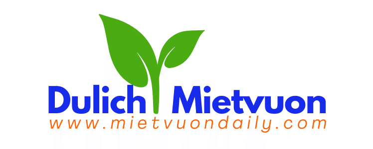 DU LỊCH MIỆT VƯỜN DAILY – TOUR MIỀN TÂY SÔNG NƯỚC NAM BỘ
