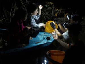 Tour Miền Tây 3 ngày | Miệt Vườn Daily Travel Group - Cồn chim, Cà Mau, Rừng U Minh