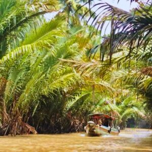 Tour miền tây Mỹ Tho Cần Thơ 2 ngày 1 đêm, trải nghiệm xuồng máy - Miệt Vườn Daily Travel