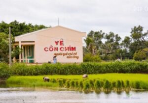 Tour Miền Tây 3 ngày 2 đêm | Cồn Chim Trà Vinh, Rừng U minh và amuix Cà Mau cùng Miệt Vườn Daily Travel Group 