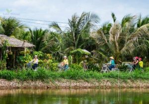 Tour Miền Tây 3 ngày | Miệt Vườn Daily Travel Group - Cồn chim, Cà Mau, Rừng U Minh