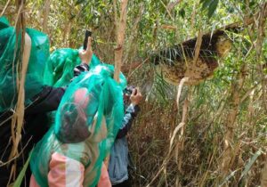 Tour Miền Tây 3 ngày | Miệt Vườn Daily Travel Group - Cồn chim, Cà Mau, Rừng U Minh