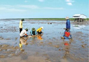 Tour Miền Tây 3 ngày | Miệt Vườn Daily Travel Group - Cồn chim, Cà Mau, Rừng U Minh