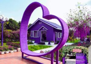 tour miền tây 2 ngày 1 đêm, căn nhà màu tím