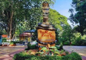 Tour Phú Quốc 3 ngày | Miệt Vườn Daily Travel Group - Trại rắn Đồng Tâm