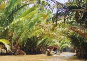 Tour Miền Tây 3 ngày 2 đêm | Miệt Vườn Daily Travel Group, tham quan Mỹ Tho, Bến Tre, Cần Thơ, Châu Đốc