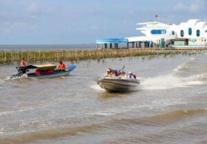 Tour Miền Tây 3 ngày | Miệt Vườn Daily Travel Group - Cồn chim, Cà Mau, Rừng U Minh