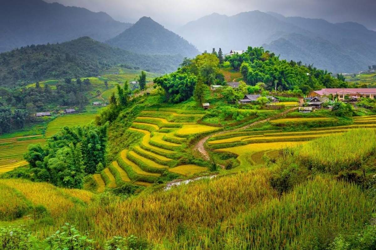 Hình ảnh tour Miền Bắc 3