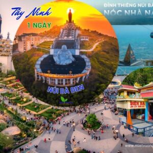 Tour Tây Ninh 1 ngày | Miệt Vườn Daily Travel Group - Núi Bà Đen, Toà thánh Cao Đì, Chùa Gò Kén