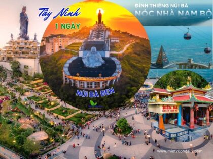 Tour Tây Ninh 1 ngày | Miệt Vườn Daily Travel Group - Núi Bà Đen, Toà thánh Cao Đì, Chùa Gò Kén