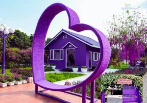 Tour Miền Tây 2 ngày 1 đêm | Miệt Vườn Daily Travel - Mỹ Tho - Bến Tre - Cần Thơ - căn nhà màu tím