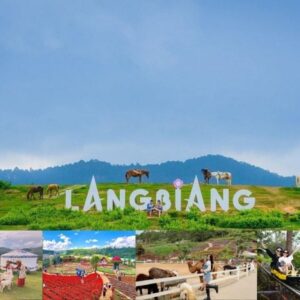 Tour 3 ngày 2 đêm: Đà Lạt – Xứ Sở Ngàn Hoa, du khách tham quan vườn hoa, Hồ Xuân Hương, chợ Đà Lạt và trải nghiệm khí hậu mát lành, cảnh sắc thiên nhiên đặc trưng