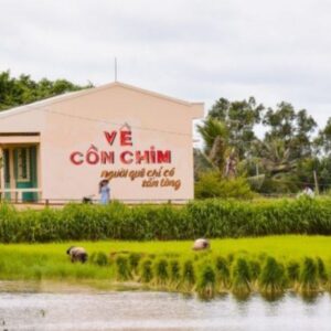 Tour 3 ngày 2 đêm: Cồn Chim Trà Vinh – Bạc Liêu – Cà Mau, du khách đón bình minh trên Đất Mũi, trải nghiệm miệt vườn sông nước và văn hóa miền Tây