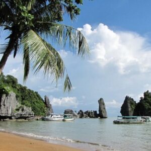 Tour Miền Tây 4 ngày | Đồng Tháp, Châu Đốc, Hà Tiên, Cần Thơ | Miệt Vườn Daily Travel Group