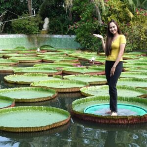 Tour Miền Tây 2 ngày 1 đêm chùa Lá Sen Đồng Tháp, An Giang