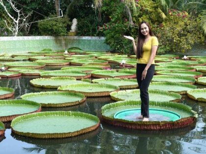 Tour Miền Tây 2 ngày 1 đêm chùa Lá Sen Đồng Tháp, An Giang