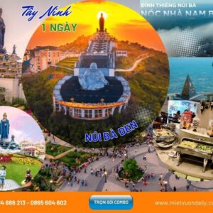 Tour 1 ngày: Núi Bà Đen – Tây Ninh, tham quan Toà Thánh Cao Đài, trải nghiệm cáp treo, khám phá kiến trúc tôn giáo đặc sắc