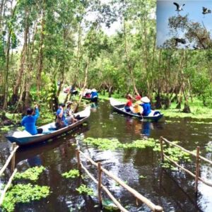 Tour 3 ngày 2 đêm: Mỹ Tho – Bến Tre – Châu Đốc – Cần Thơ, du khách tham quan Bà Chúa Xứ, rừng Tràm Trà Sư, chợ nổi, KDL Mỹ Khánh, căn nhà màu tím – màu vàng
