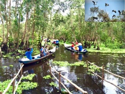 Tour Miền Tây: Mỹ Tho – Bến Tre – Châu Đốc – Cần Thơ Cà Mau, du khách tham quan rừng Tràm Trà Sư