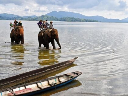 Tour Tây Nguyên 3 ngày 2 đêm | Miệt Vườn Daily Travel | Gia Lai | Đức Mẹ Măng Đen | Buôn Đôn