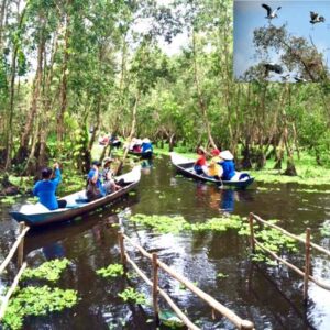 Tour Miền Tây 4 ngày | Miệt Vườn Daily Travel Group - Rừng Trà Sư