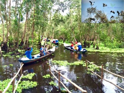 Tour Miền Tây 1 ngày | Miệt Vườn Daily Travel Group - Cậ Thơ - Châu Đốc - Rừng Trà Sư