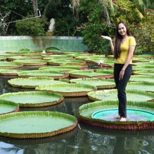 Tour Miền Tây 1 ngày | Miệt Vườn Daily Travel Group - Chùa Lá Sen