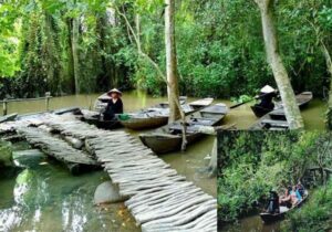 Tour Phú Quốc & Miền Tây 4 ngày 3 đêm | Miệt Vườn Daily Travel Group - rừng tràm Đồng Tháp