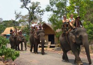 Tour Tây Nguyên 3 ngày | Miệt Vườn Daily Travel Group - Gia Lai - KonTum - Măng Đen - Buôn Đôn