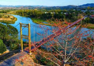 Tour Tây Nguyên 3 ngày | Miệt Vườn Daily Travel Group - Gia Lai - KonTum - Măng Đen - Buôn Đôn - cầu treo Kon Klon