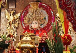 Tour Miền Tây 4 ngày | Miệt Vườn Daily Travel Group - Bến Tre, Châu Đốc, Cần Thơ, Cà Mau