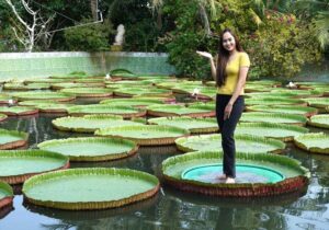 Tour Miền Tây 4 ngày | Miệt Vườn Daily Travel Group - Chùa lá sen - Đồng Tháp