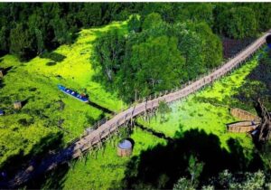 Tour Miền Tây 4 ngày | Miệt Vườn Daily Travel Group - Rừng tràm Trà Sư