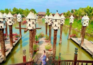 Tour Miền Tây 3 ngày | Miệt Vườn Daily Travel Group - Rừng tràm Trà Sư