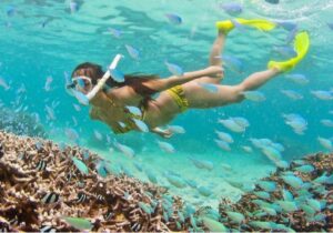 Tour Phú Quốc 1 ngày | Miệt Vườn Daily Travel Group - tắm biển, ngắm san hô