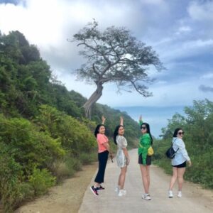 Tour Đảo Nam Du 2 ngày 1 đêm | Miệt Vườn Daily Travel Group, check-in Cây cô đơn