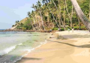 Tour Đảo Nam Du 2 ngày | Miệt Vườn Daily Travel