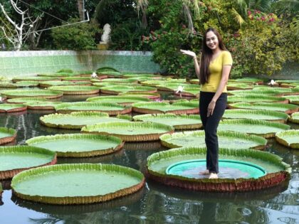 Tour Miền Tây 4 ngày | Miệt Vườn Daily Travel - Đồng Tháp - Châu Đốc - Hà Tiên - Cần Thơ