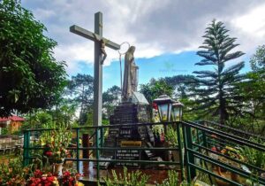 Tour Tây Nguyên 4 ngày 3 đêm | Miệt Vườn Daily Travel - Pleiku - Kontum - Măng Đen - DakLak