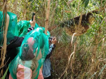 Tour Miền Tây 3 ngày 2 đêm | Miệt Vườn Daily Travel - Cồn Chim - Rừng U Minh