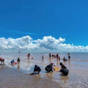 Tour Cần Giờ 1 ngày | Miệt Vườn Daily Travel Group - Biển 30/4 Cần Giờ