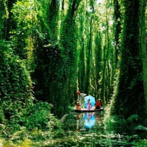 Tour Miền Tây 2 ngày | Miệt Vườn Daily Travel Group - thám hiểm rừng tràm Hậu Giang