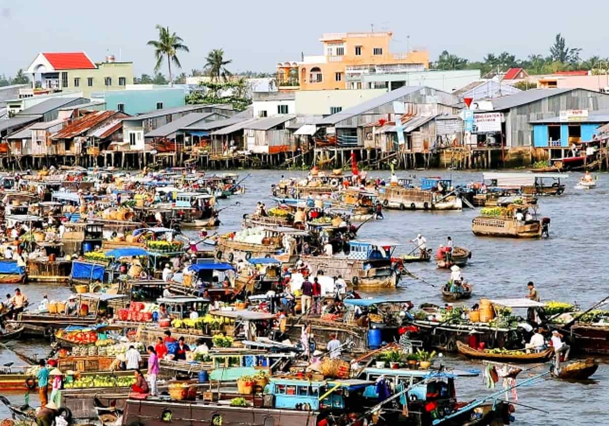 Tham quan chợ nổi Cái Răng | Miệt Vườn Daily Travel