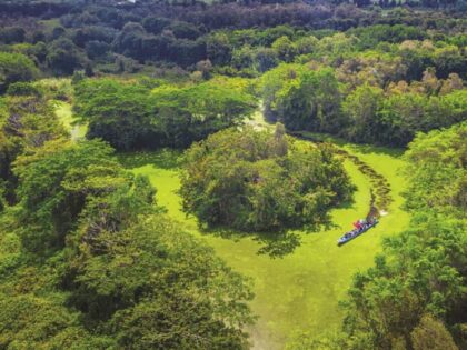 Tour Miền Tây 2 ngày | Miệt Vườn Daily Travel - Bến Tre - Cần Thơ - Rừng Tràm Hậu Giang