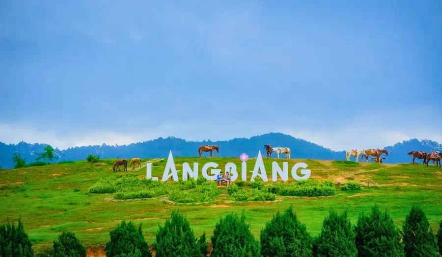 Núi Langbiang Đà Lạt với đàn ngựa trên đồi - Chạm mây trời cao nguyên tour Tây Nguyên