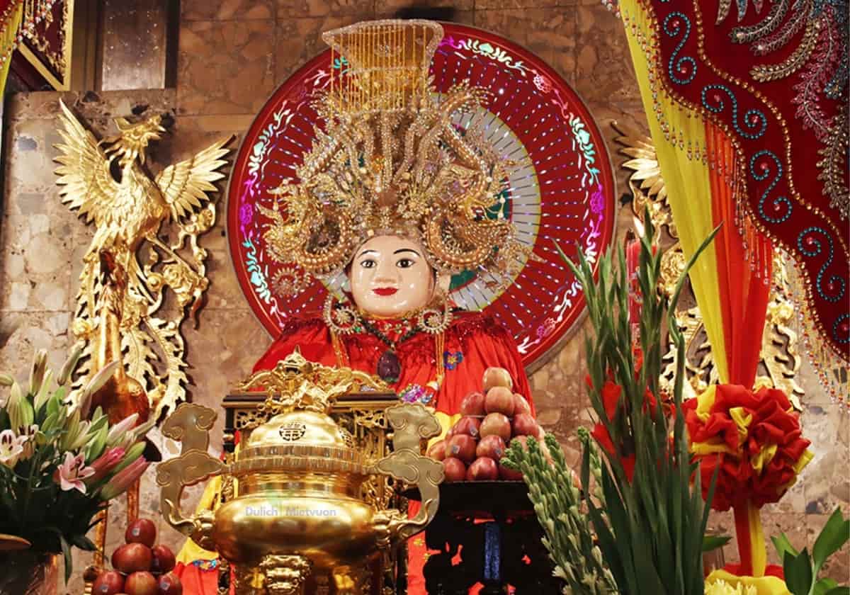 Tour Miền Tây 4 ngày | Miệt Vườn Daily Travel - Đồng Tháp - Châu Đốc - Hà Tiên - Cần Thơ