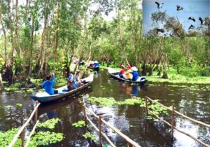 Tour Miền Tây 2 ngày | Miệt Vườn Daily Travel - Đồng Tháp - Châu Đốc