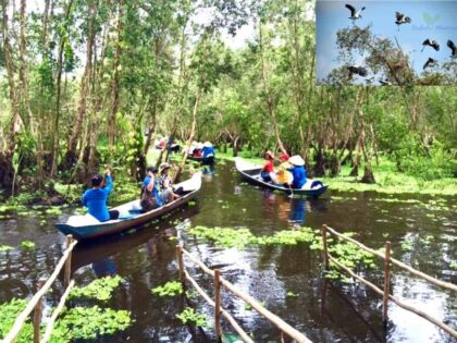 cheo-xuong-rung-tra-su Tour Miền Tây 4 ngày | Miệt Vườn Daily Travel - Đồng Tháp - Châu Đốc - Hà Tiên - Cần Thơ