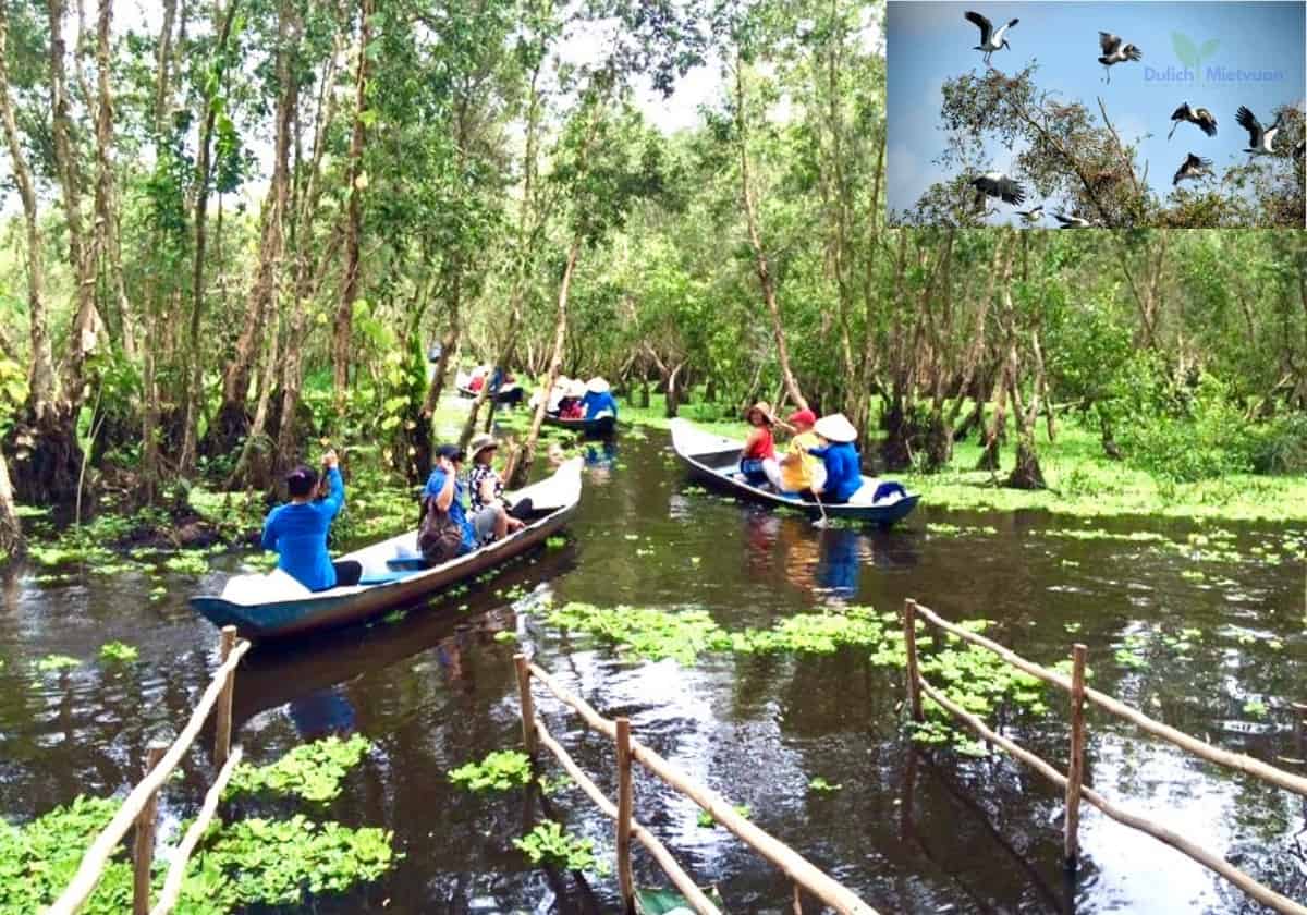 Tour Miền Tây 4 ngày | Miệt Vườn Daily Travel - Đồng Tháp - Châu Đốc - Hà Tiên - Cần Thơ